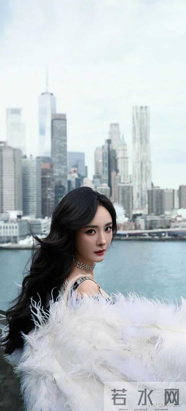 我的女神壁纸（527）杨幂