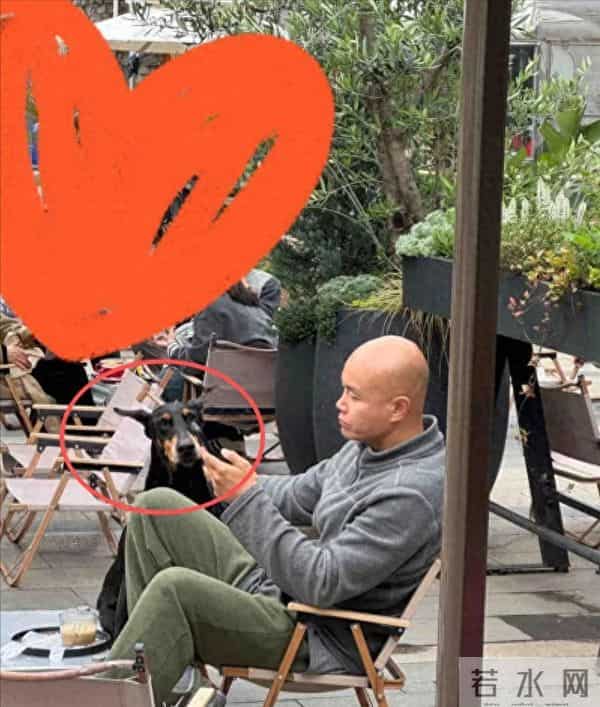 50岁乐嘉定居云南，牵着大狗外出，坐在路边看手机，生活非常悠闲