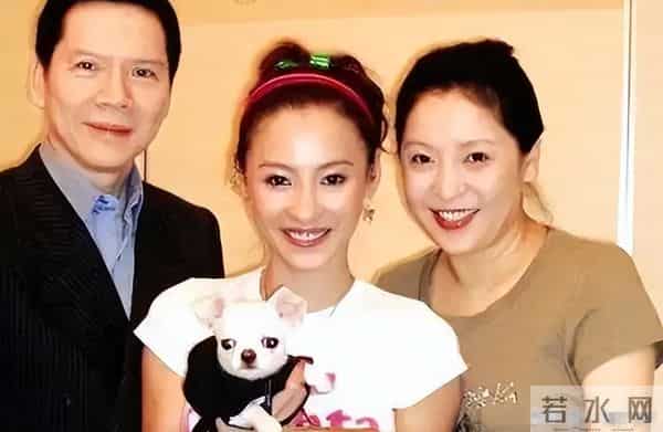 里子面子都输了,被向太公开嘲讽的张柏芝,半辈子的口碑毁于一旦