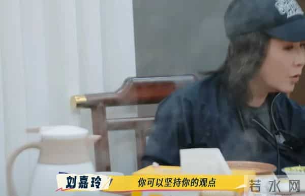 节目录3期,何赛飞刘嘉玲爆发2次争吵!全员和谐唯独她俩拖了后腿