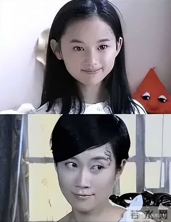 温峥嵘:隐婚生子二十年,老公不是何政军,与姚刚也很清白