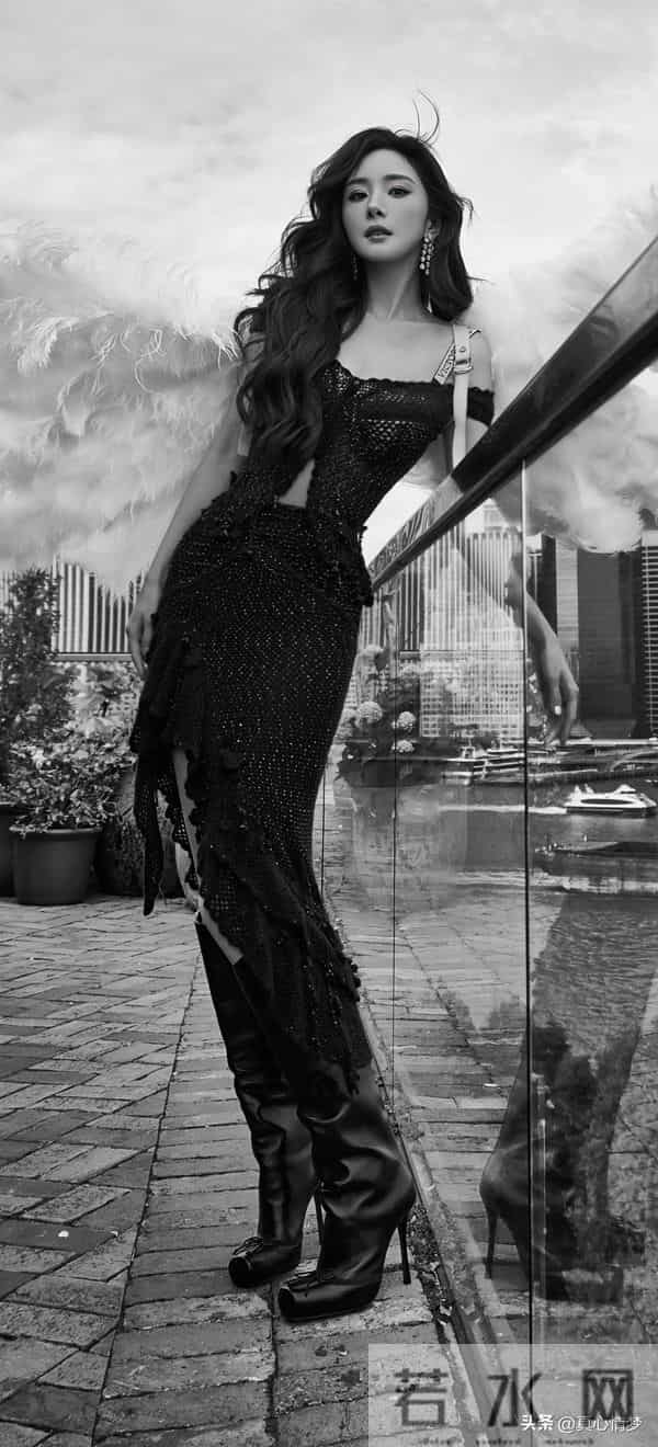 我的女神壁纸（527）杨幂