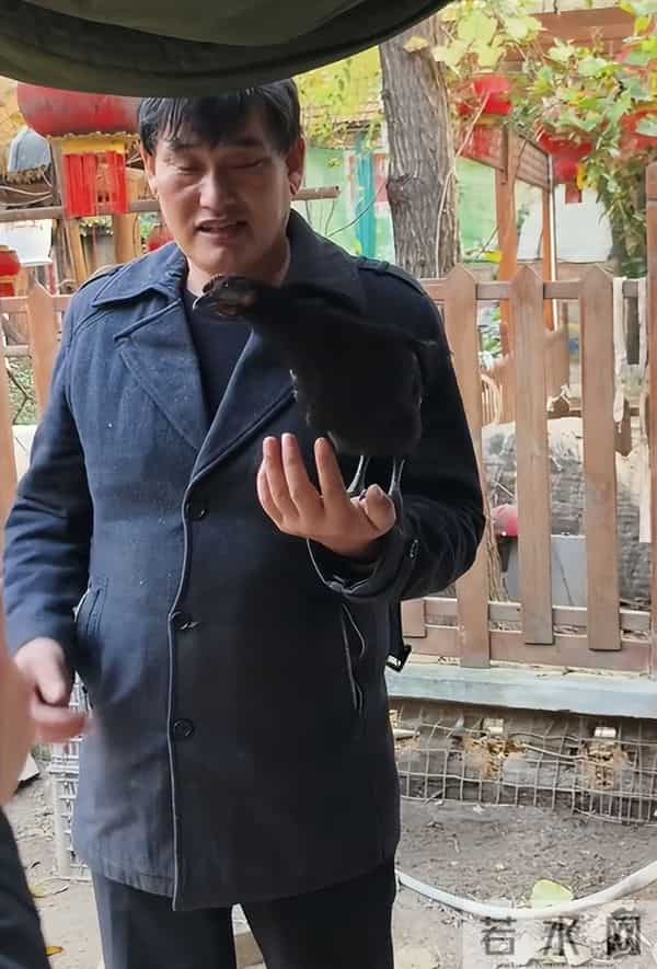 钱再多有什么用？56岁大衣哥开始走下坡路，背后真相太现实