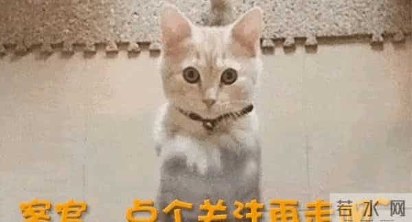 白百何儿子帅到不敢认!只有17岁身高接近1米8,长相酷似爸爸