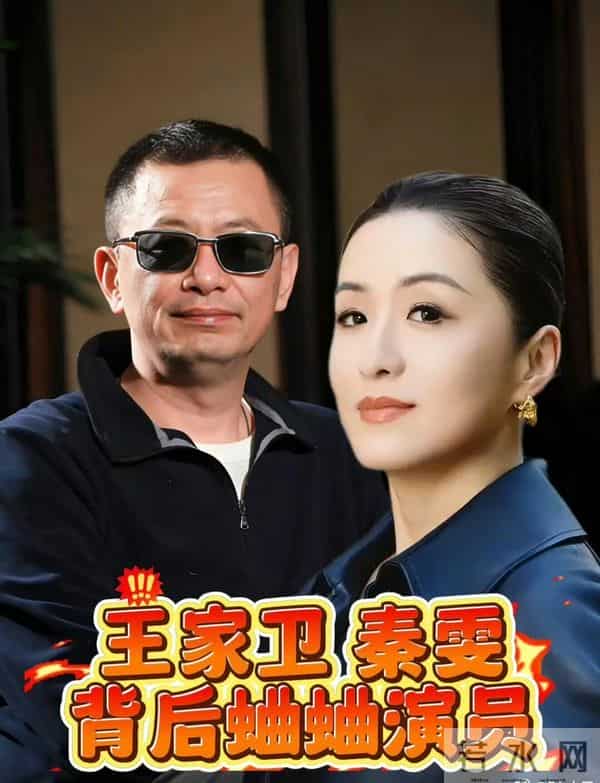 古二公开录音涉嫌违法！雪崩的时候，哪一片雪花是无辜的？