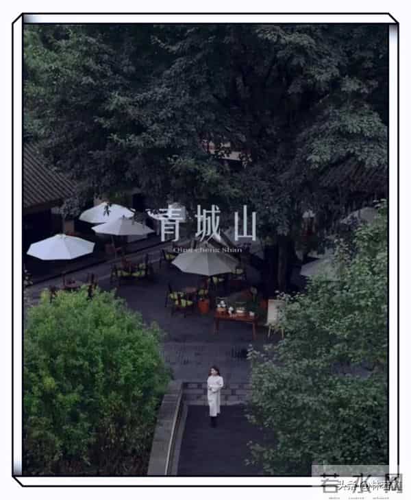 马筱梅晒青城山度假视频，孕肚明显像五六个月，蹲着摸狗，引热议