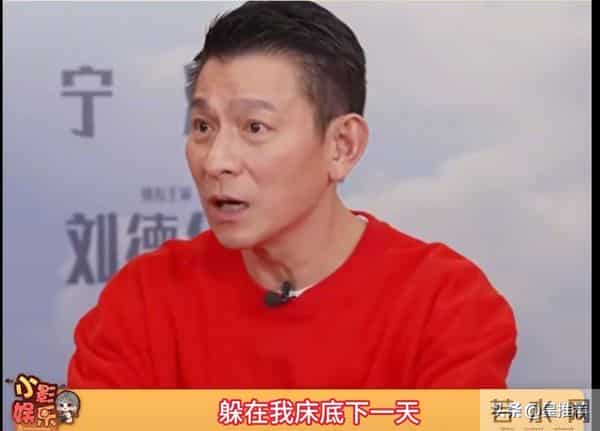 刘嘉玲曝刘德华私生藏床底爬出来