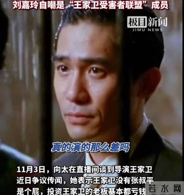 王家卫“塌房”，原来早有预兆，辛芷蕾曾用一句话评价过他