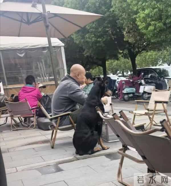 50岁乐嘉定居云南，牵着大狗外出，坐在路边看手机，生活非常悠闲