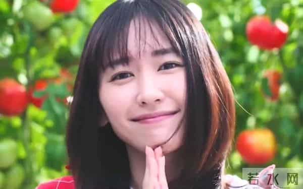 日本女星——新垣结衣