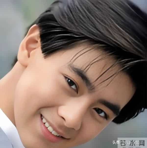 天呐,差点没认出来,不得不说,心中的男神林志颖也老了