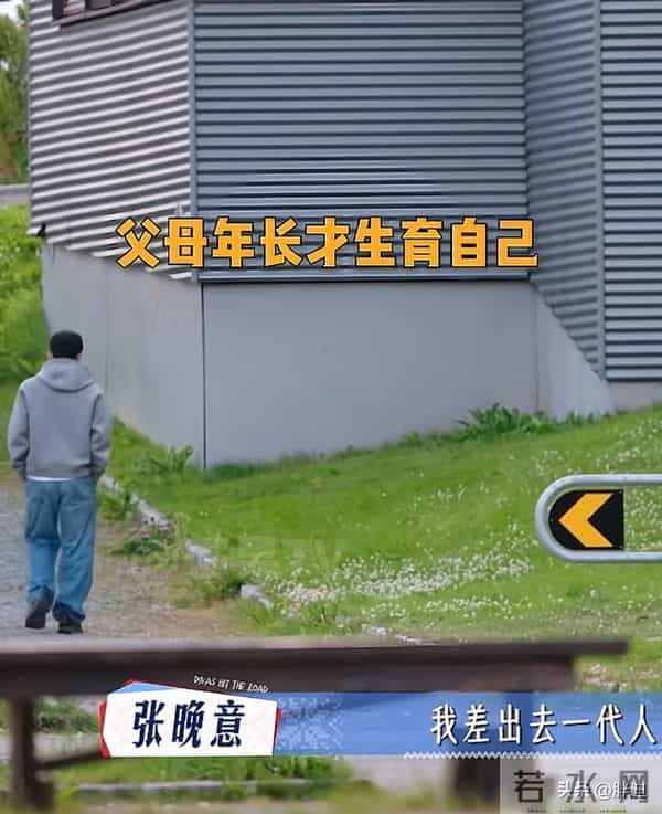 圈粉!这真的是内娱传统第一人,31岁张晚意焦虑晚婚晚育