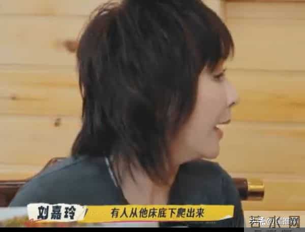 刘嘉玲曝刘德华私生藏床底爬出来