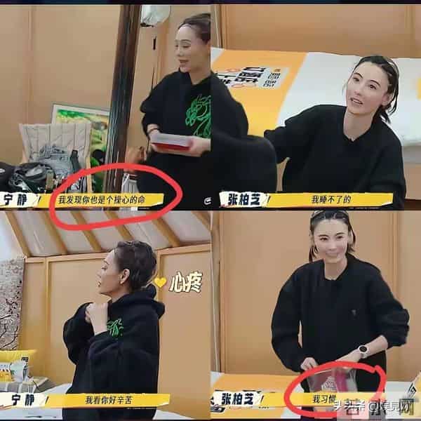 宁静的“直觉”真没错！现在才发现，原来张柏芝的面相早就变了