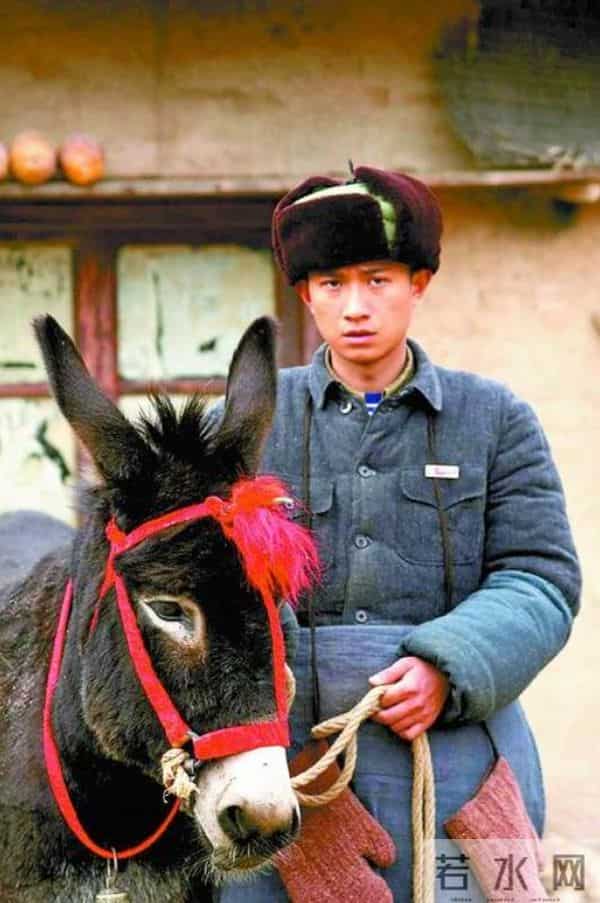 人狂必有祸!出轨11 年后,看到44岁文章现状,才明白马伊琍没说错