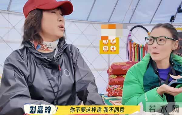 节目录3期,何赛飞刘嘉玲爆发2次争吵!全员和谐唯独她俩拖了后腿