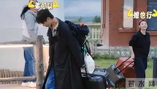 狐狸尾巴藏不住,王菲两位闺蜜 "倒戈",张柏芝从不像表面那么简单