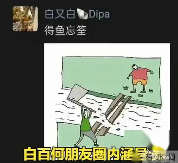内娱怎么了?郝蕾内涵辛芷蕾的影后不干净,辛芷蕾硬刚:别酸了!