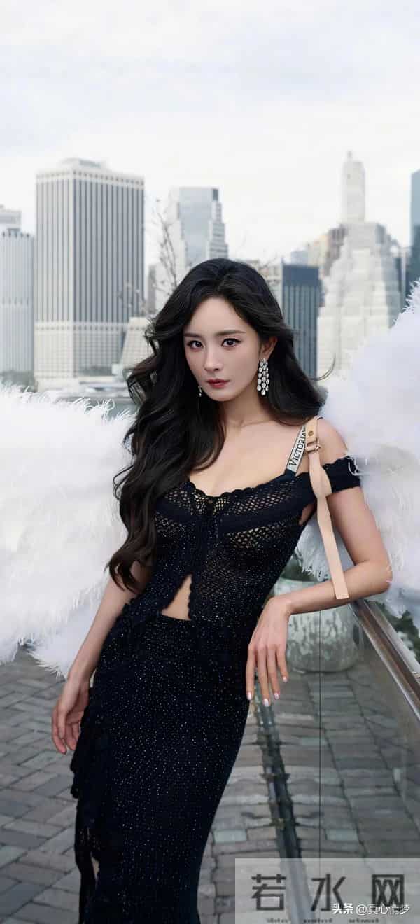 我的女神壁纸（527）杨幂