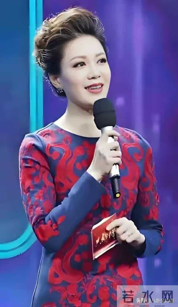 央视主持人 李文静