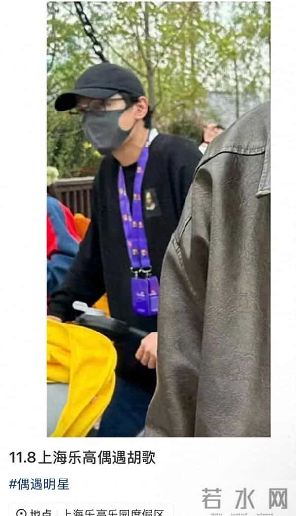 胡歌带娃游乐园，3000元通道引争议，隐私疑云未散。