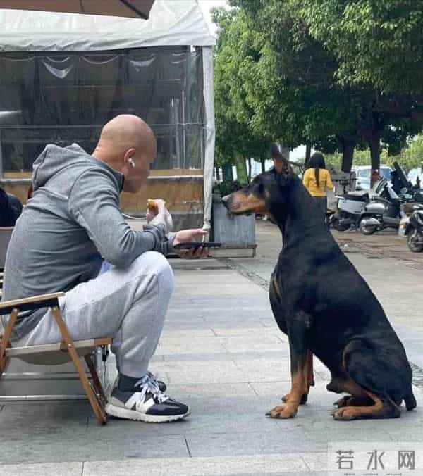 50岁乐嘉定居云南，牵着大狗外出，坐在路边看手机，生活非常悠闲
