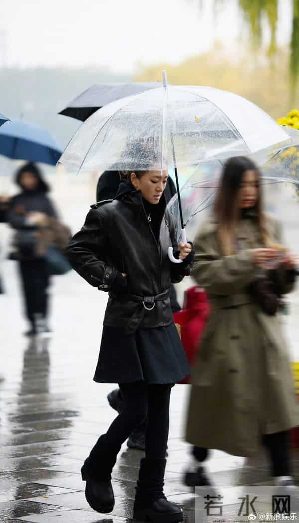 巩俐雨天现身北海公园，全黑造型撑伞漫步，这姿态太像电影镜头！