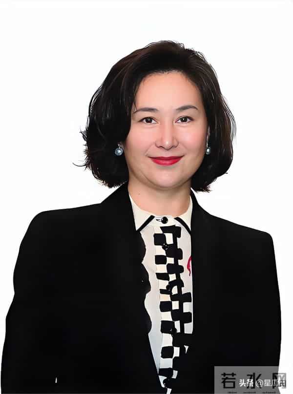 官媒发文,63岁何超琼再破天花板,让许晋亨和整个豪门圈刮目相看!