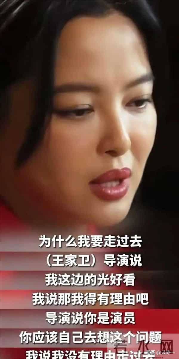 这回真是互扯头花了,辛芷蕾深夜发文怼“郝蕾”,网友:狐狸装纯