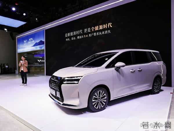 杨紫、张晚意、迪丽热巴、赵露思、陈伟霆、北京现代EO羿欧