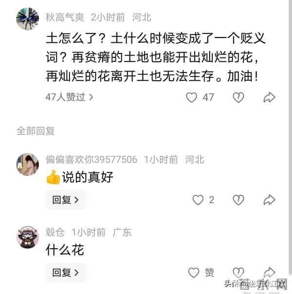 云南BIGBANG爆火后回应确实很土!评论区却刷屏点赞!网友:爱看