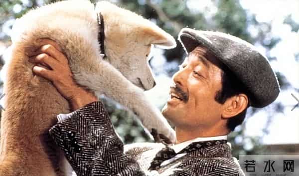 《忠犬八公物语》主演去世,享年92岁