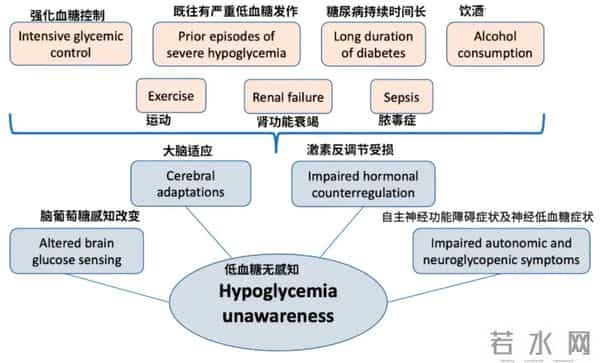 这种让泫雅在舞台上晕倒的病,也让很多上班族在地铁突然晕倒