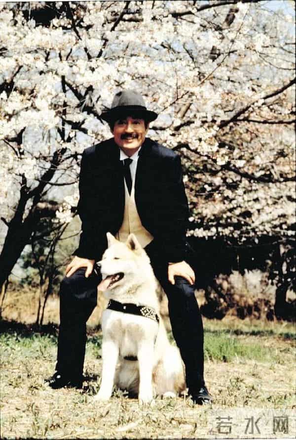 《忠犬八公物语》主演去世,享年92岁