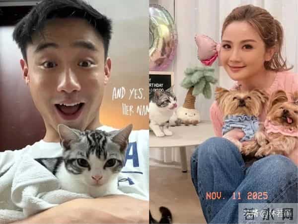 容祖儿谈阿Sa新恋情,称阿Sa眼睛放光,夸赞阿Sa男友“童颜巨乳”