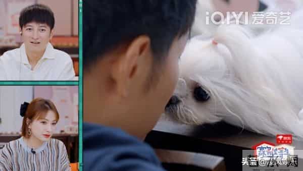 牛鬼蛇神现原形，看到李维嘉如今的现状，才明白黄渤一点没说错