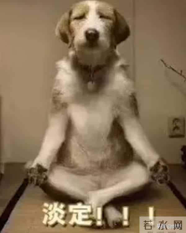 日本综艺为啥总没底线?看看他的历史就明白了