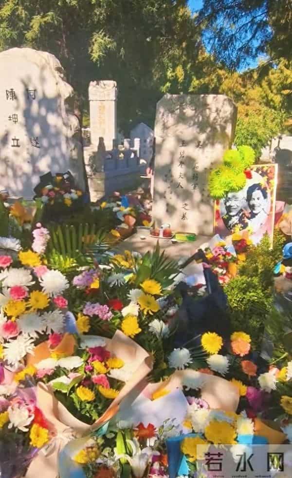 蔡孝乾墓地曝光,坟头长满荒草,墓碑不敢留名,凄凉超乎想象