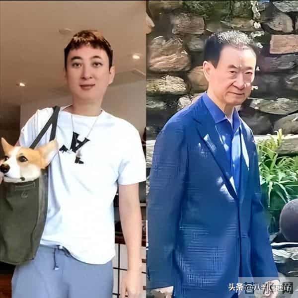 一年蒸发800多亿！挥霍的王思聪，终究让汪小菲出了13年前的恶气