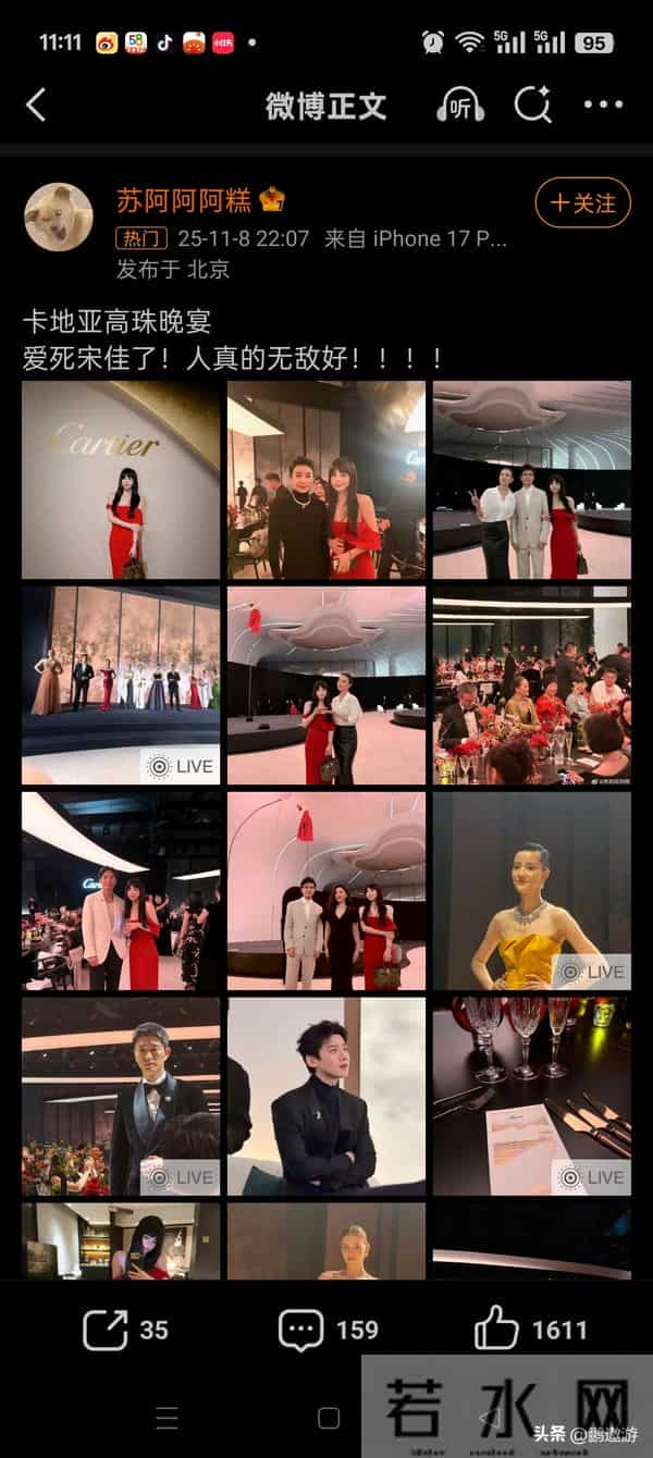 卡地亚这一夜,珠圆玉润的郭晶晶,秒了内娱一堆“排骨精”