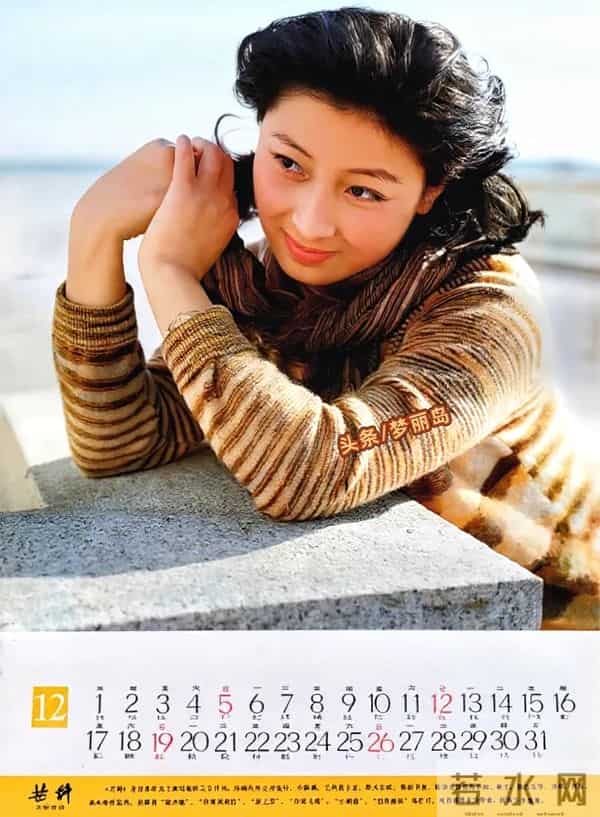 1982年明星挂历 张瑜 陈冲 刘冬 赵娜 娜仁花 殷亭如 李秀明 潘虹 林芳兵等