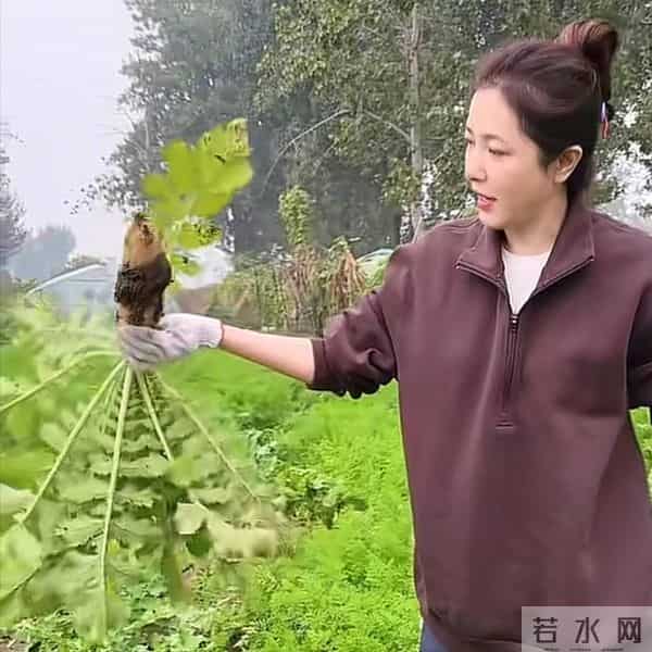 被称中戏第一美却至今未婚,48岁事业停摆后,农村种地还乐在其中