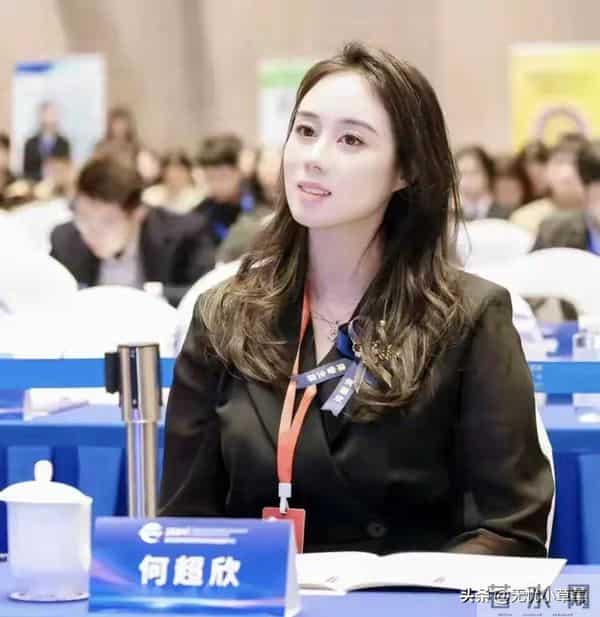 何超莲是赌王最不受宠的女儿,何超琼继承人,何超仪宠的无法无天