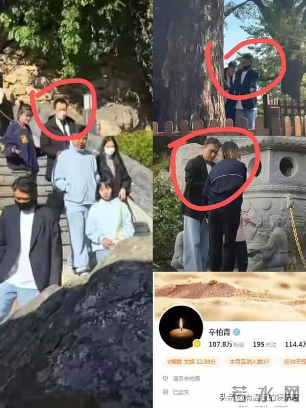 辛柏青还是没走出来,李乃文给他夹菜,原来朱媛媛生前真的没说错