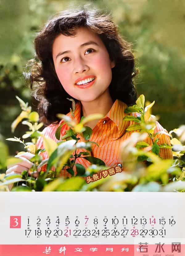1982年明星挂历 张瑜 陈冲 刘冬 赵娜 娜仁花 殷亭如 李秀明 潘虹 林芳兵等