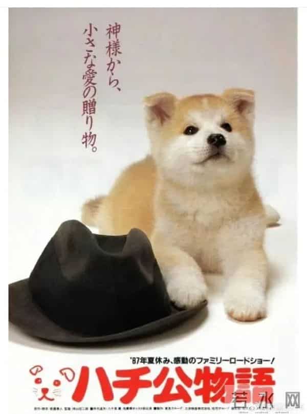 《忠犬八公物语》主演去世,享年92岁