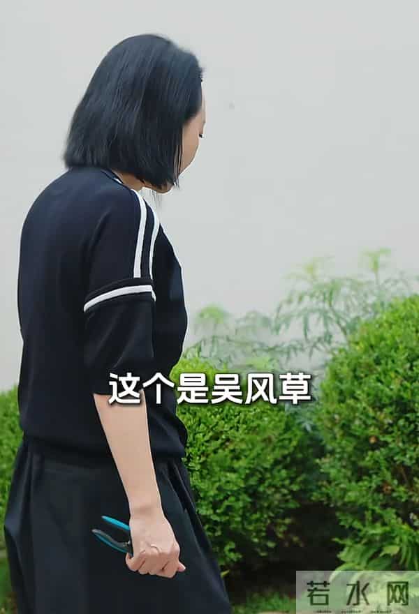 破产后，王中磊搬新家还住别墅，院子稀稀拉拉，老婆叹回不到以前