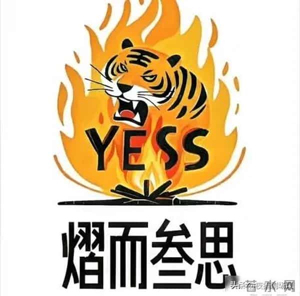 赵露思新公司成立,资本却悄悄入局,她到底在玩什么新花样