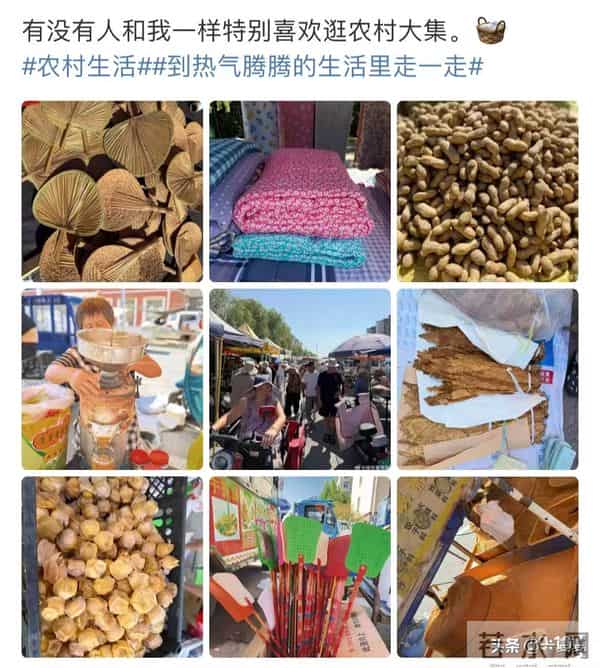 离婚后只字不提前夫侯勇,与女儿相依为命,如今46岁似冻龄少女