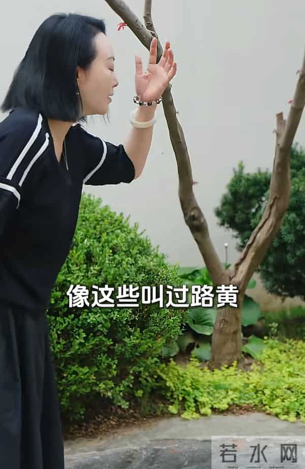 破产后，王中磊搬新家还住别墅，院子稀稀拉拉，老婆叹回不到以前